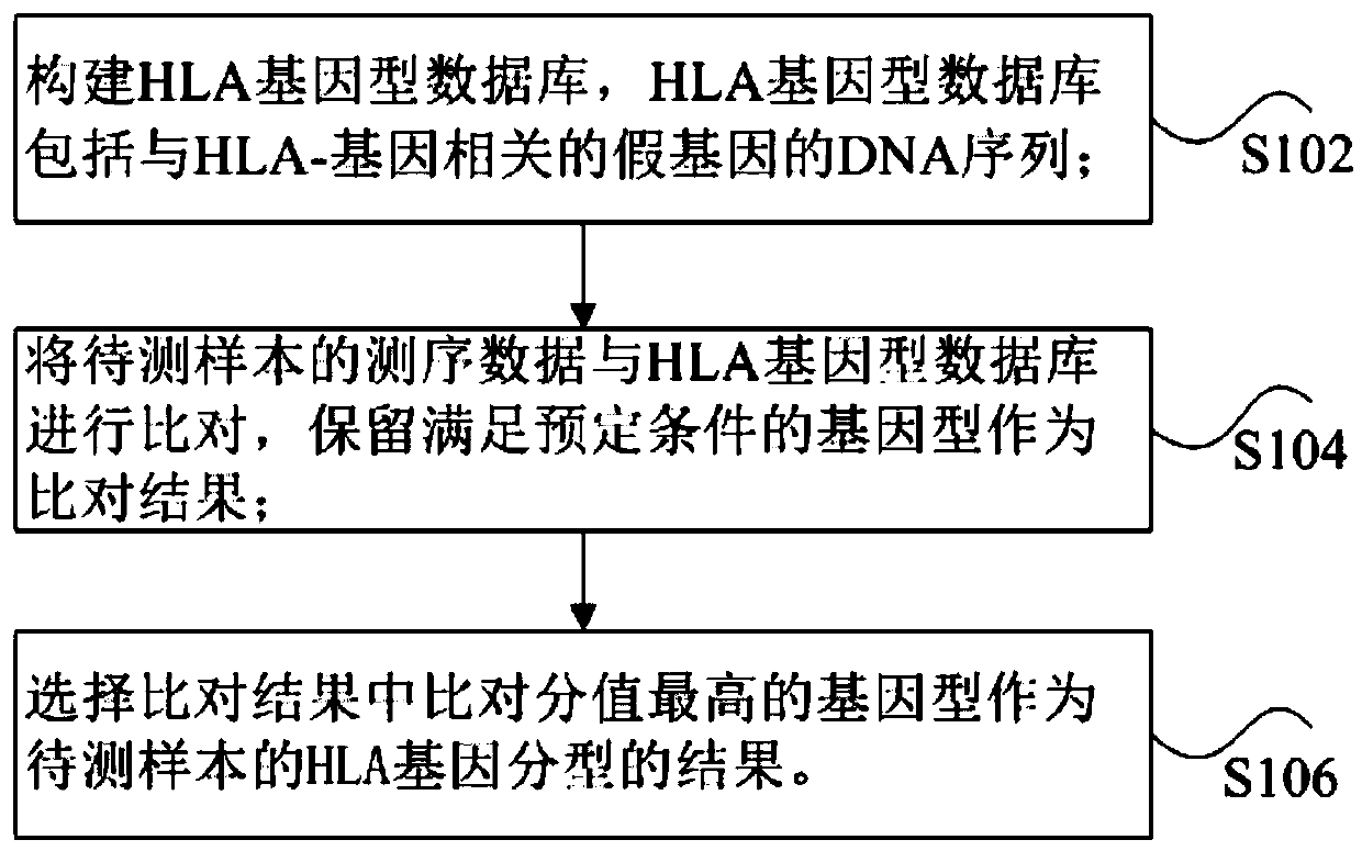 Method and device for HLA genotyping, storage medium and processor