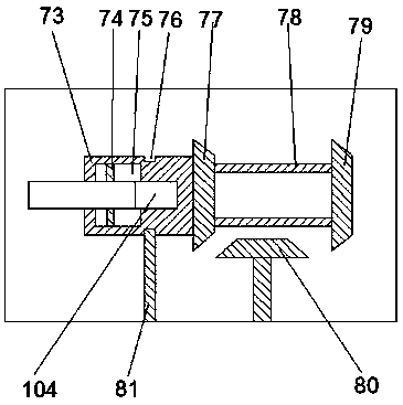 Sewer sewage purification apparatus