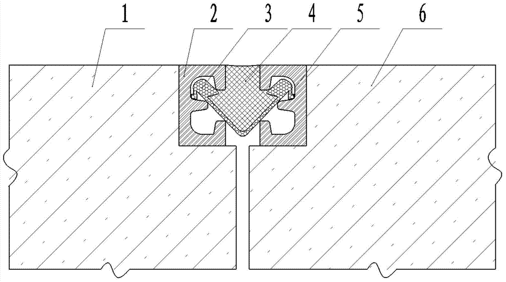 Sealing protection structure for road bridge expansion device
