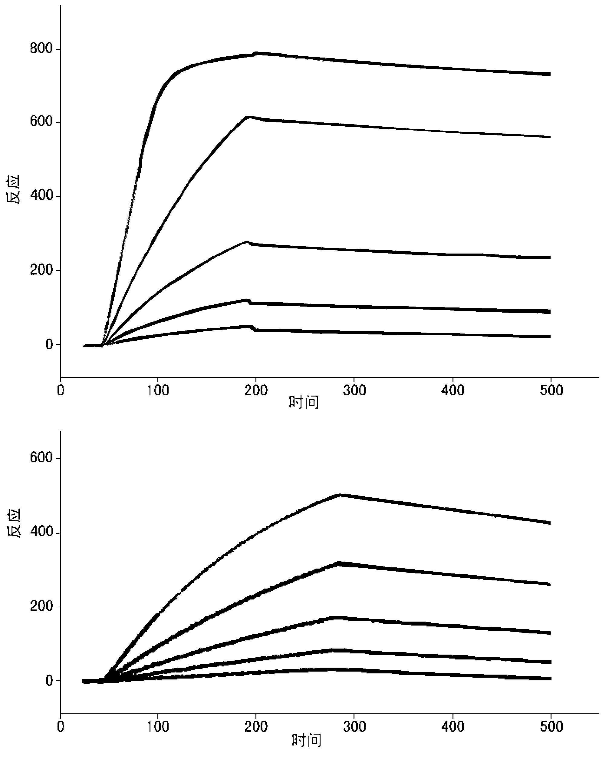Protein chip and preparation and detection method thereof
