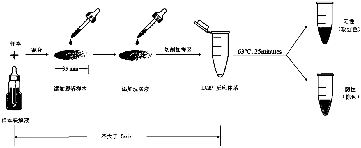 A paper microfluidic chip and its nucleic acid extraction method and isothermal amplification method