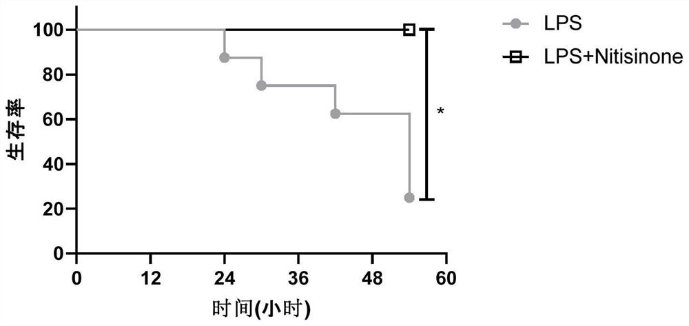 Application of nitixinone in preparation of medicine for preventing and treating endotoxic shock diseases