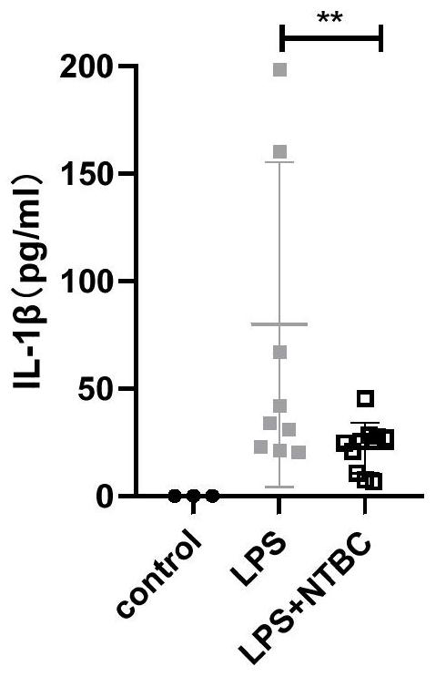 Application of nitixinone in preparation of medicine for preventing and treating endotoxic shock diseases