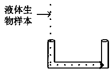 Microwave sensor for measuring biological sample dielectric property