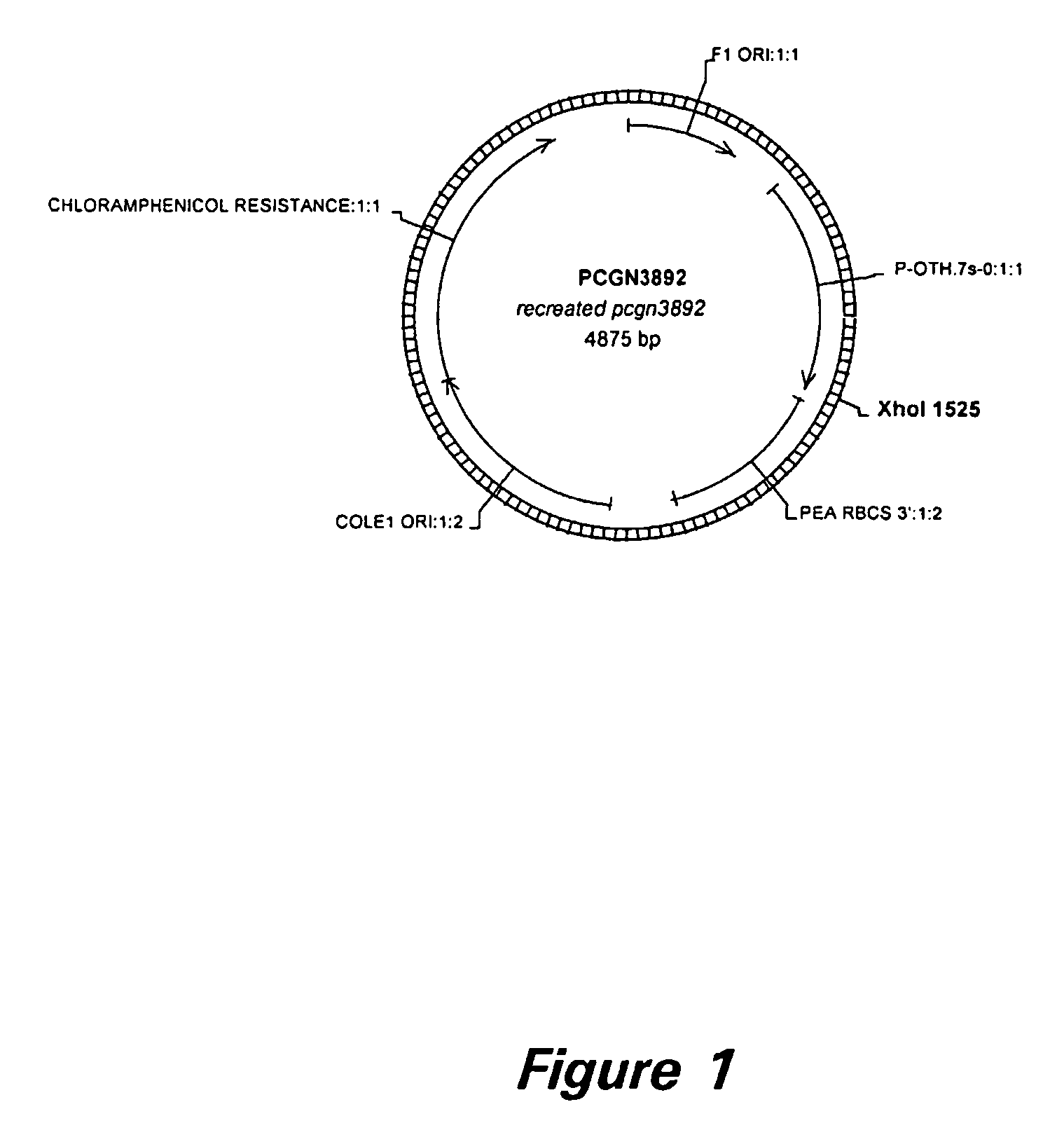 Thioesterase-related nucleic acid sequences and methods of use for the production of plants with modified fatty acid composition