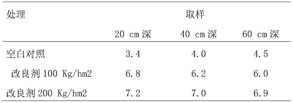 Silicon-based biological type acid soil modifier and preparation method thereof