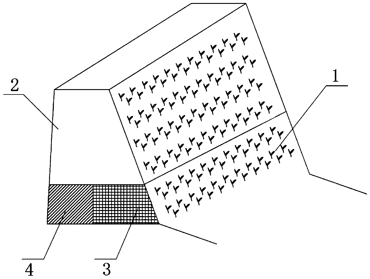 Lake shore ecological protection structure and construction mode selection method and system thereof