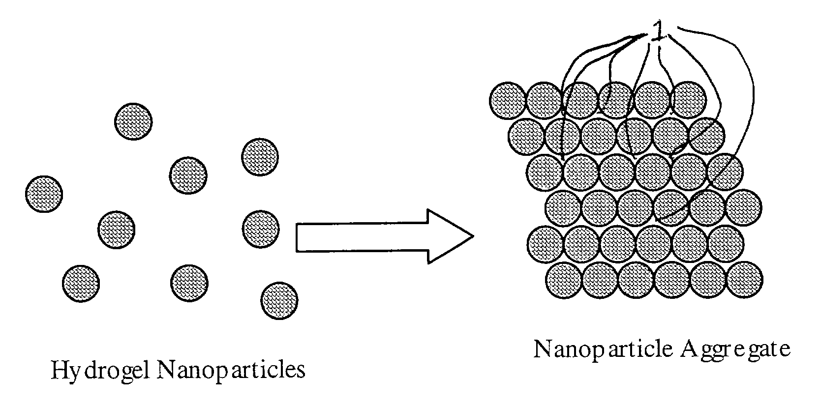 Shape-retentive hydrogel particle aggregates and their uses