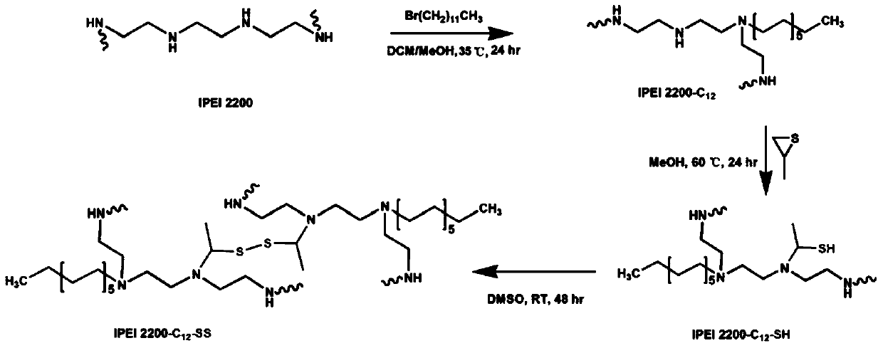 Reduction-sensitive polyethyleneimine derivative, its preparation method and application