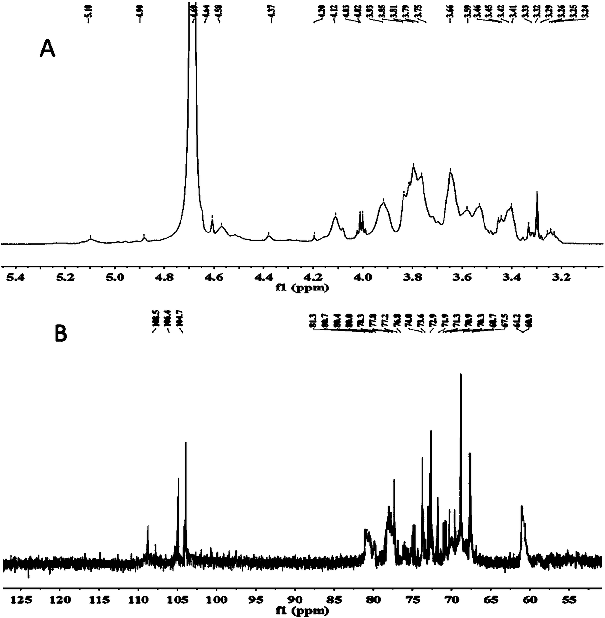 Arabinogalactan KMCP as well as preparation method and application thereof in preparation of immune modulator