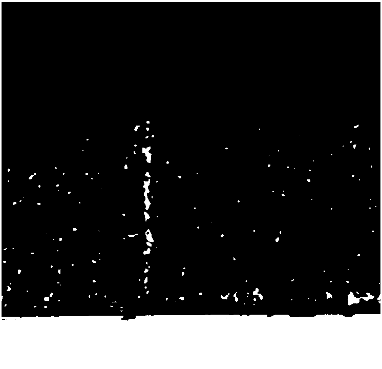 Portable variable-focus-length optical system