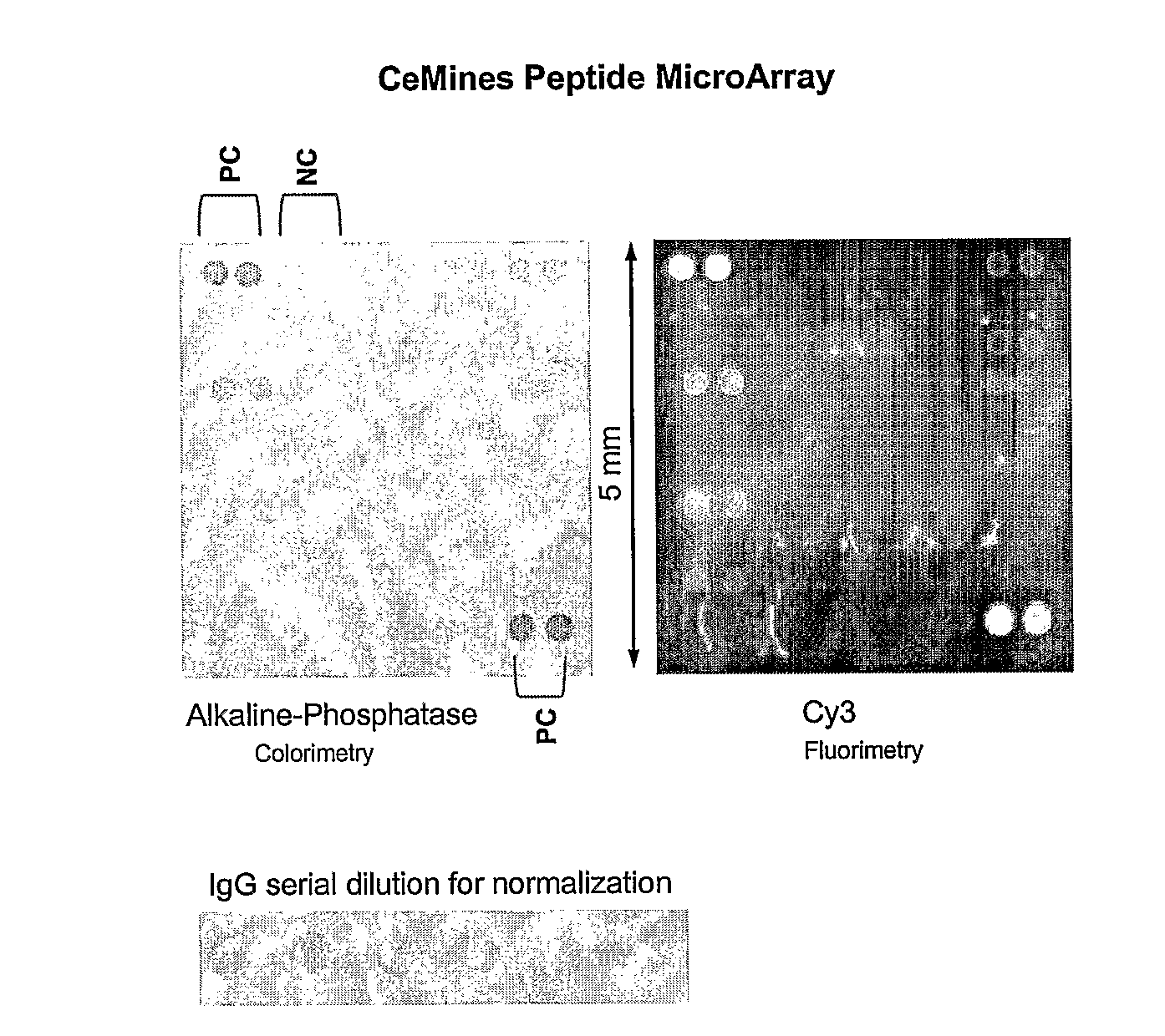 Compositions and Methods for Classifying Biological Samples