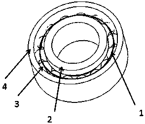 Spherical shield for bearing