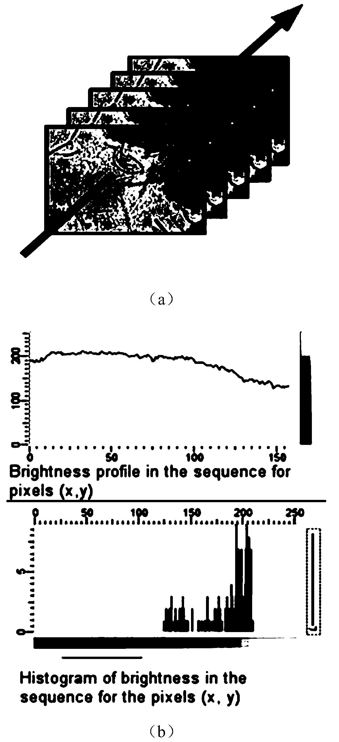 Method for reconstructing cell dynamic characteristic three-dimensional image under biological microscope