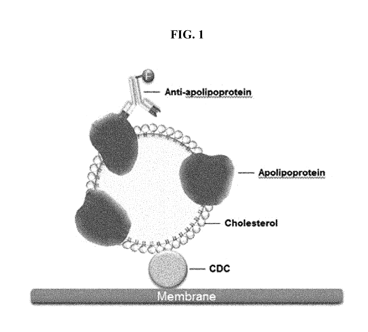 Method of measuring cholesterol levels by using immunogenic method