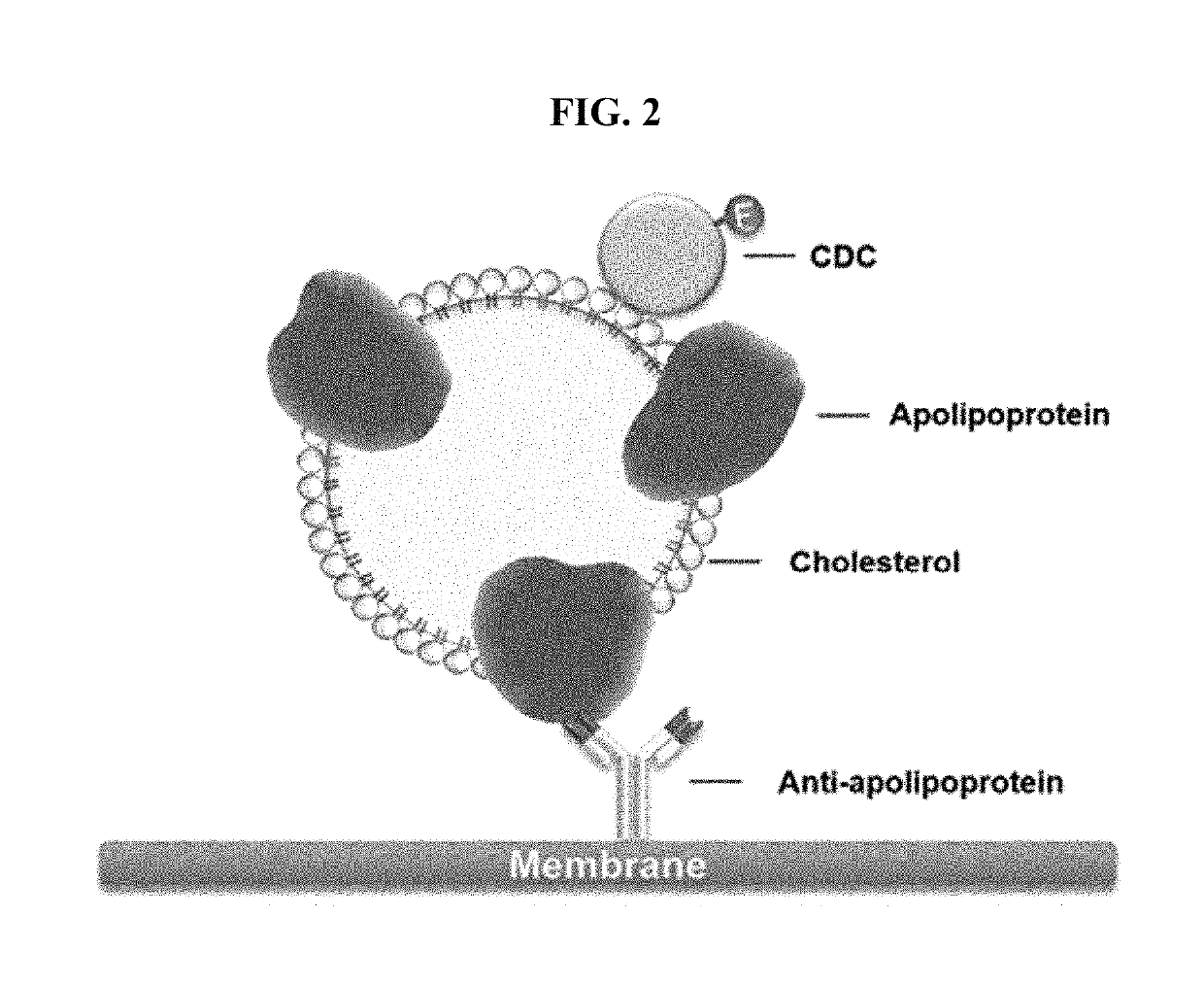 Method of measuring cholesterol levels by using immunogenic method