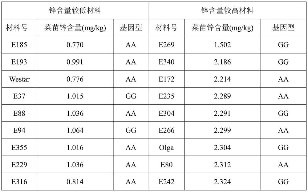 Molecular marker BnZn-3A1 closely linked with rape zinc content character QTL and application of molecular marker BnZn-3A1