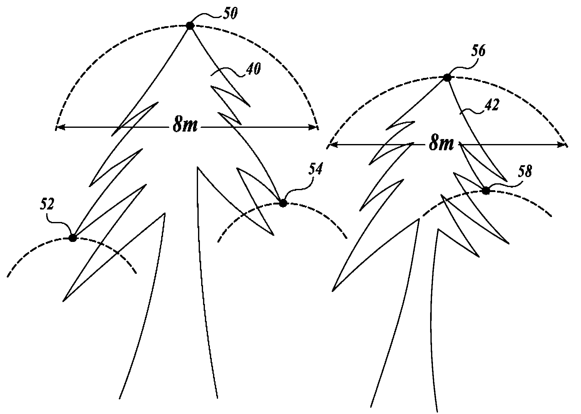 Method and apparatus for for analyzing tree canopies with LiDAR data