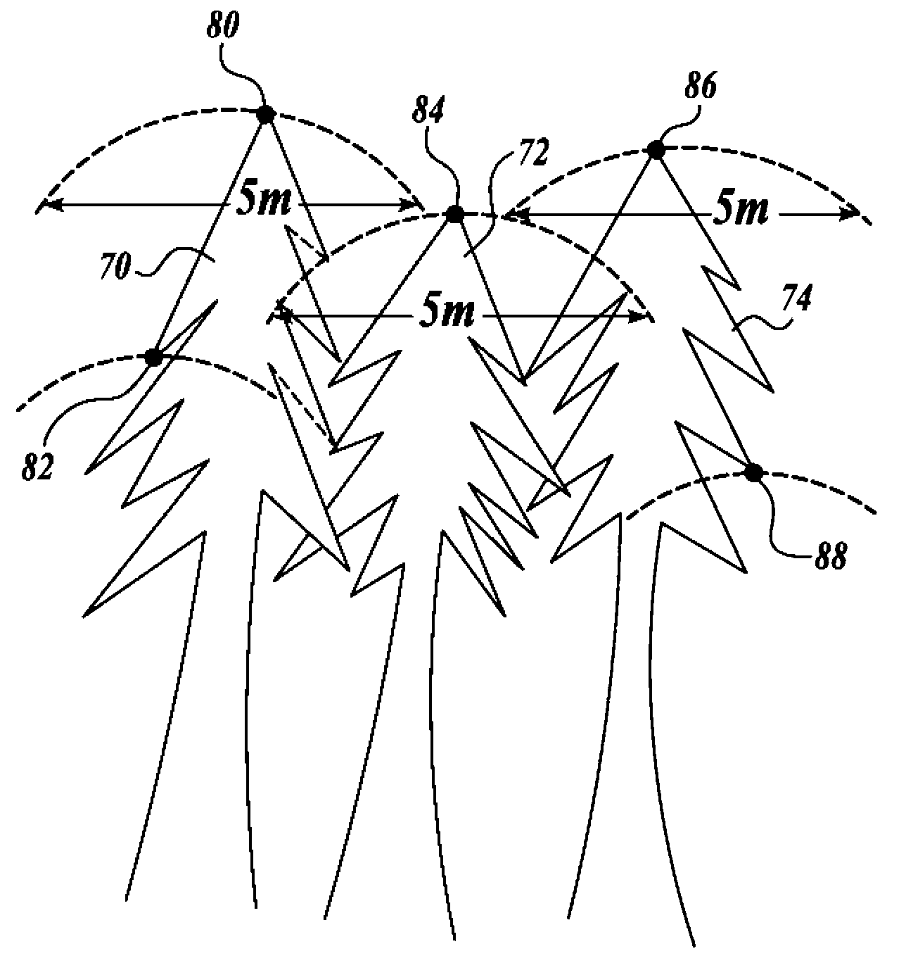 Method and apparatus for for analyzing tree canopies with LiDAR data