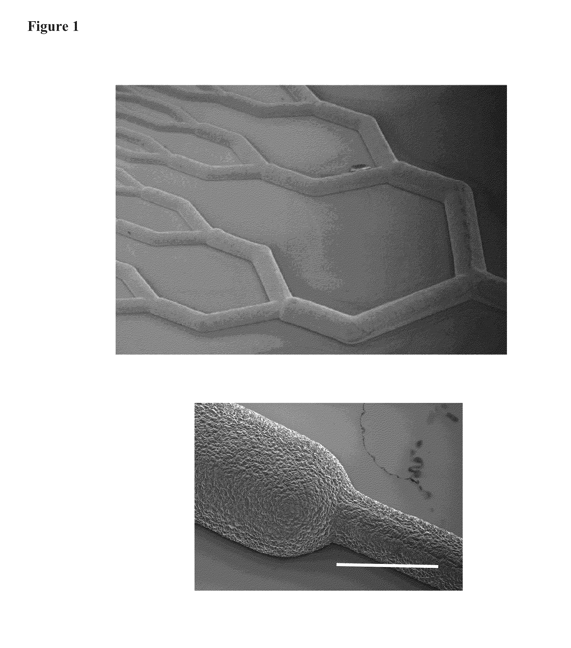 Microfabricated artificial lung assist device, and methods of use and manufacture thereof