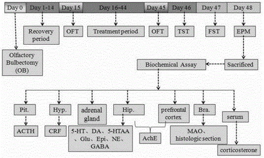 New use of Qing'e pill in depression and anxiety prevention