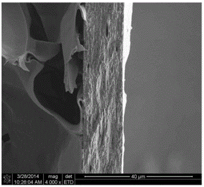 Silk fibroin/collagen scaffold material loaded with growth factors and preparation method