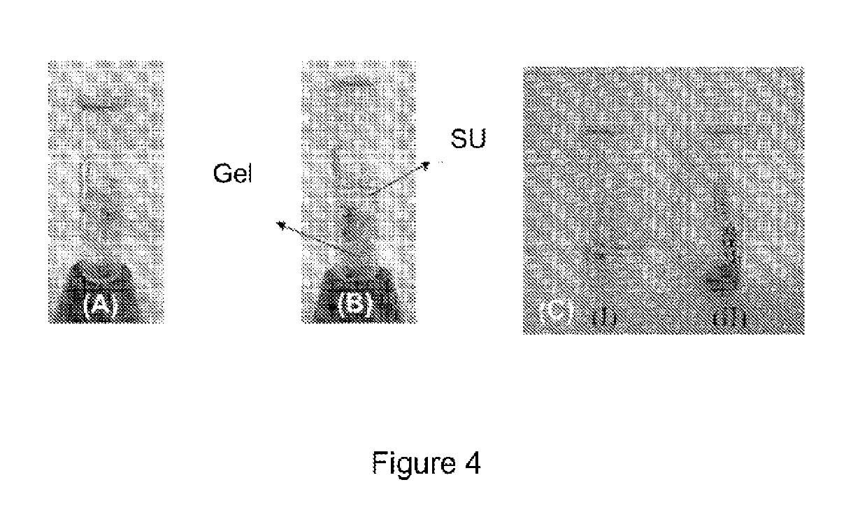 Hydrogel-based decontamination of aqueous samples containing nanoparticles