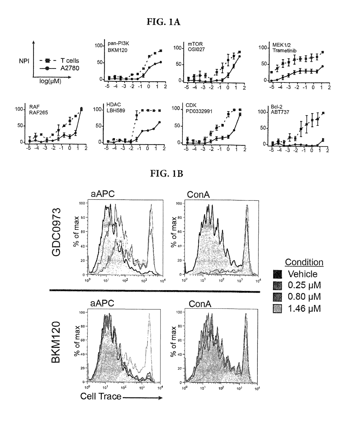 Method for treatment of metastatic and refractory cancers and tumors with an inducer that overcomes inhibition of T cell proliferation