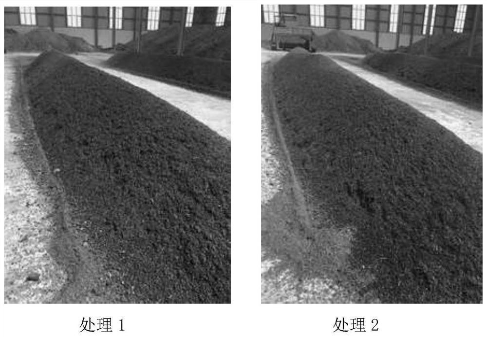 A kind of composite biological decomposing agent and preparation method thereof