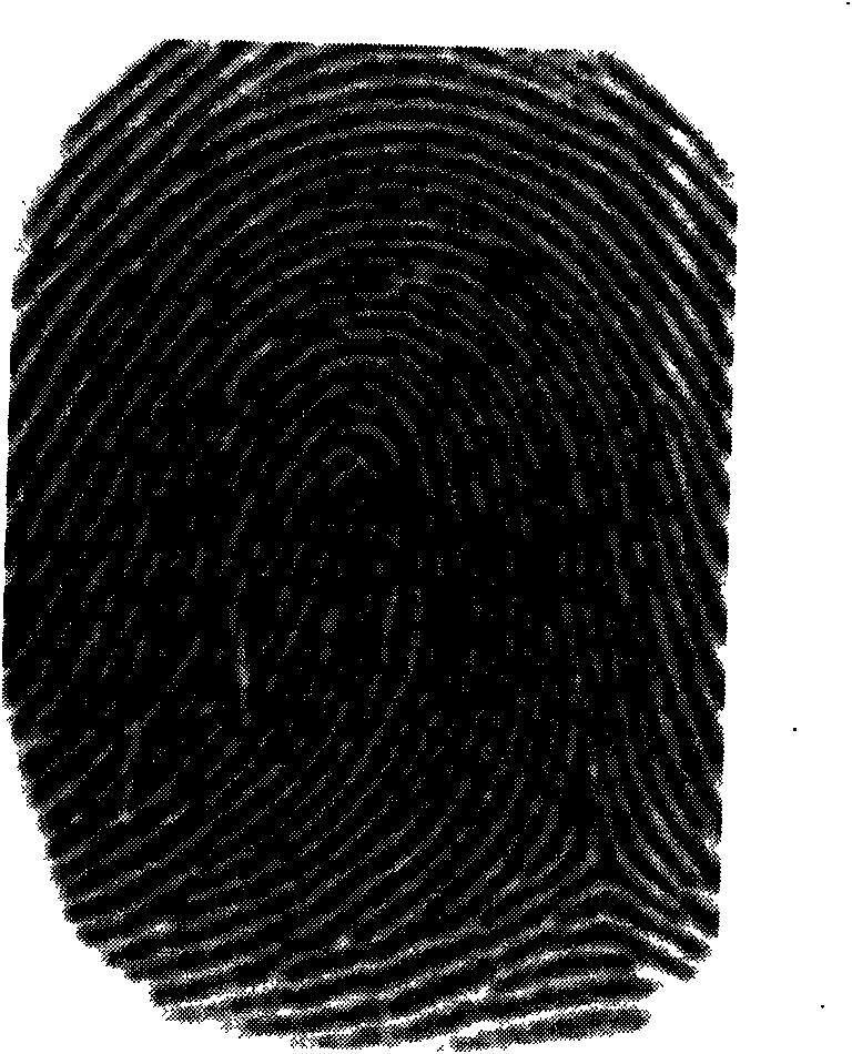 Individualized fingerprint identification method