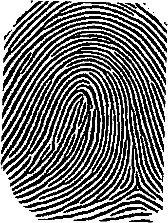 Individualized fingerprint identification method