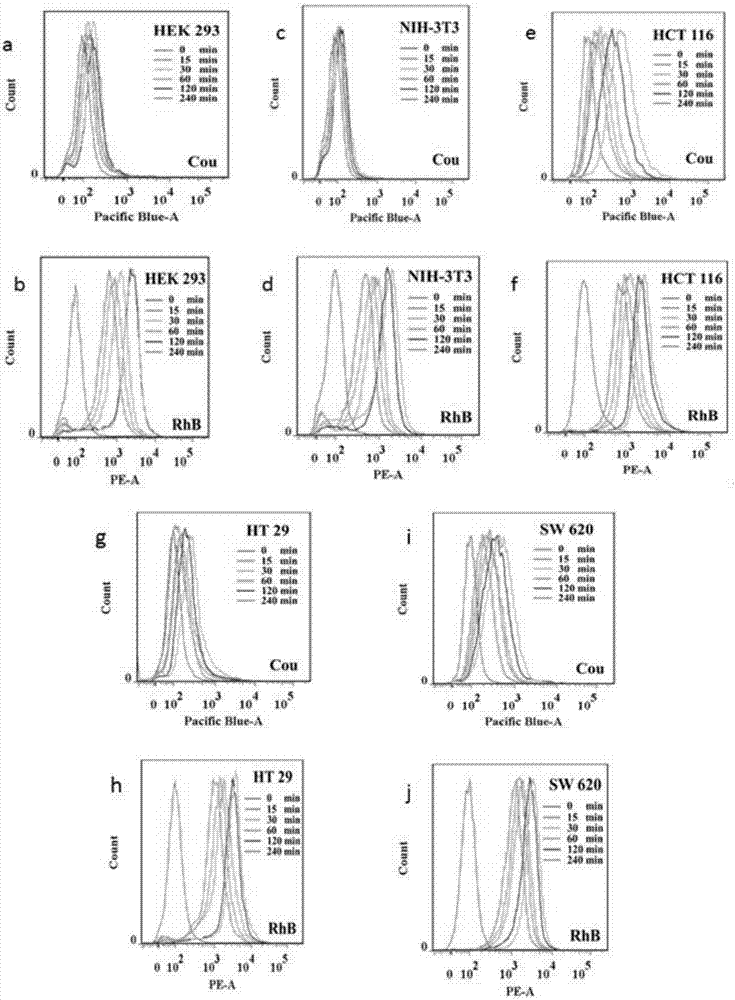 Hydrogen peroxide responsive ratio meter nanoprobe and its use