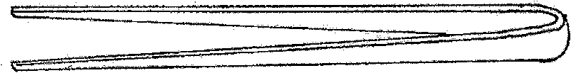 Illumination structure of forceps