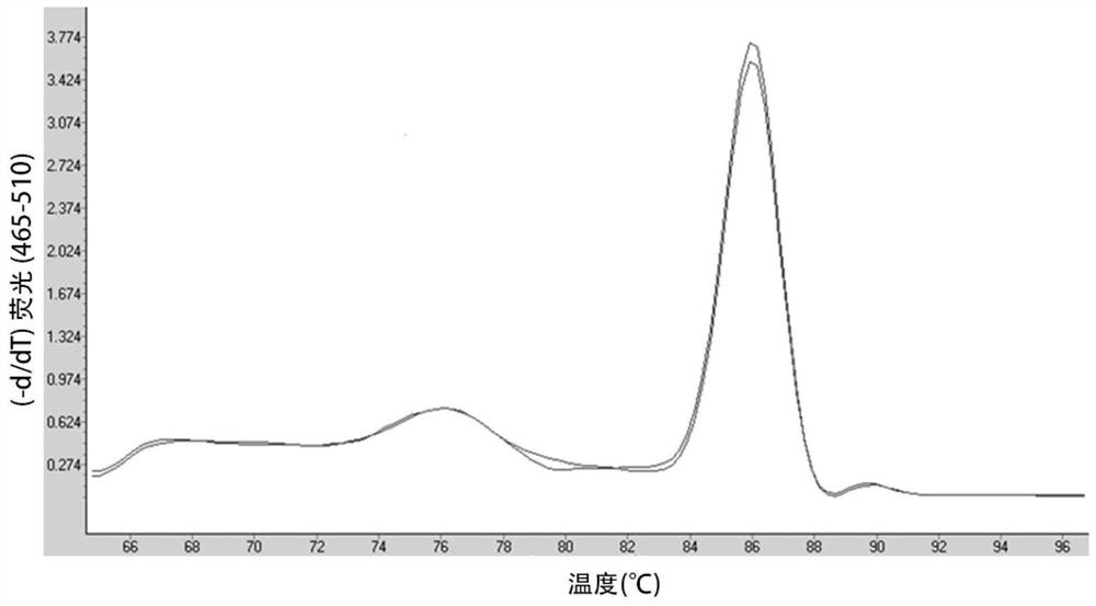 Kit for detecting foreign plasmid residues based on resistance gene and use method of kit