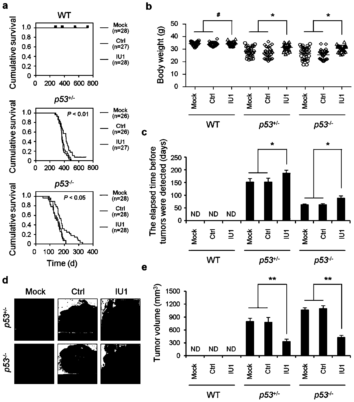 Application of IU1 in preparing drugs for treating p53-deficient tumors