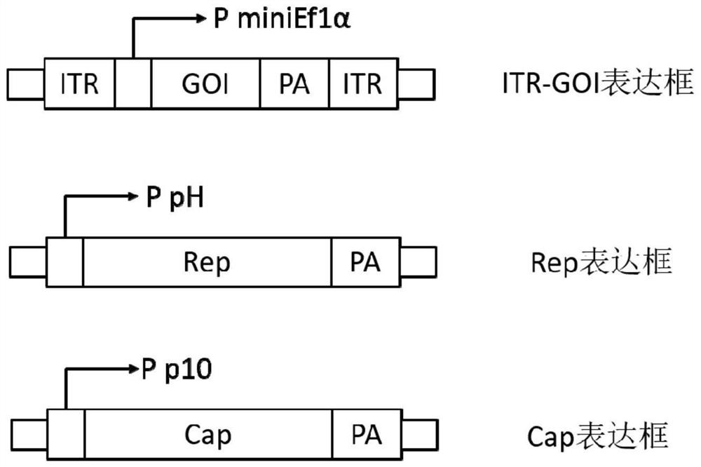 Preparation method, system and recombinant bacmid of a recombinant adeno-associated virus