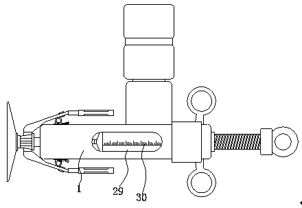 Extravasation-proof chemotherapy drug administration device