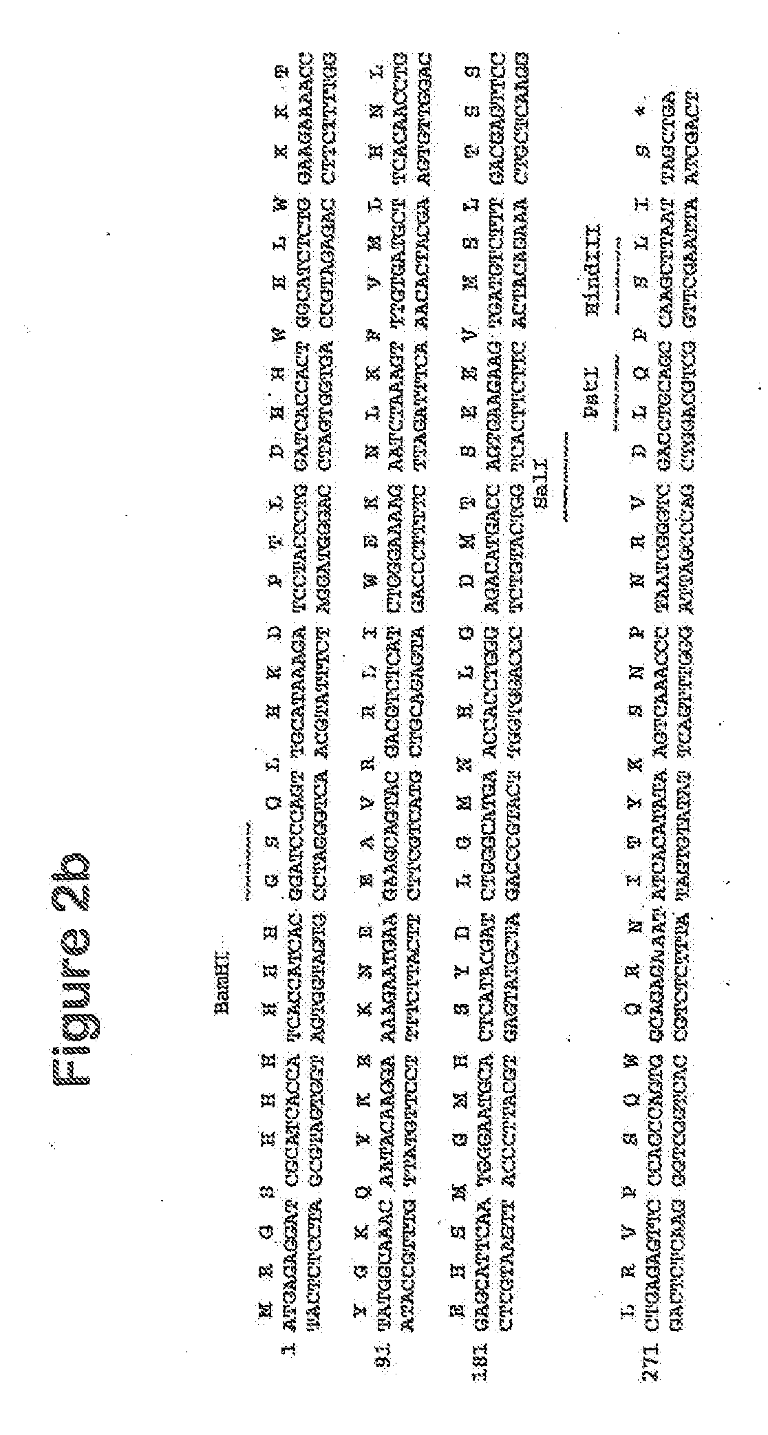 Peptide and uses thereof