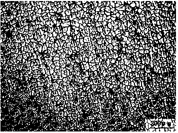 Magnesium alloy with good millability and preparation method of magnesium alloy plate