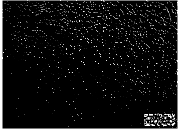 Magnesium alloy with good millability and preparation method of magnesium alloy plate