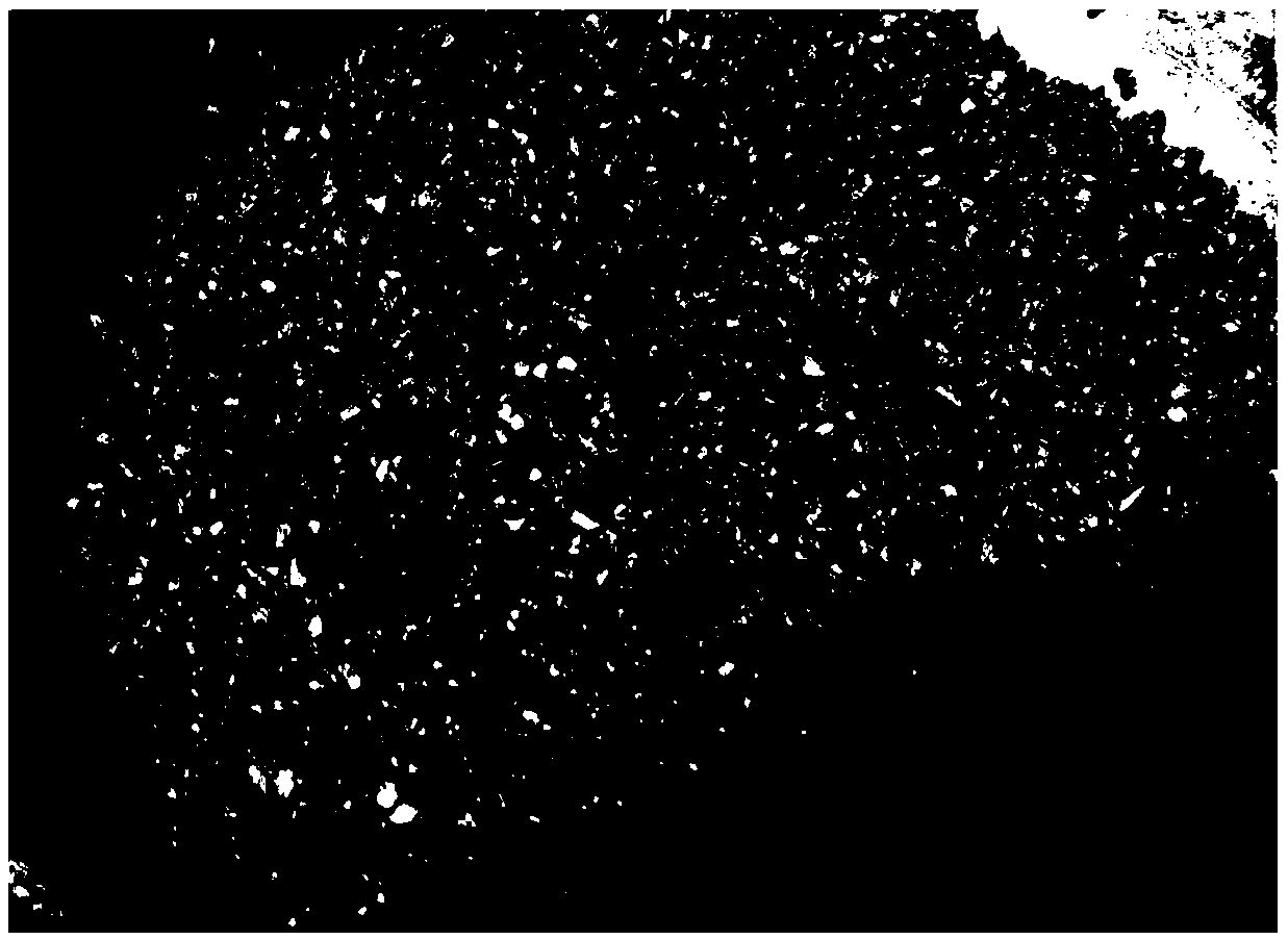 Rubber-doped water-permeable cement concrete and preparation method thereof