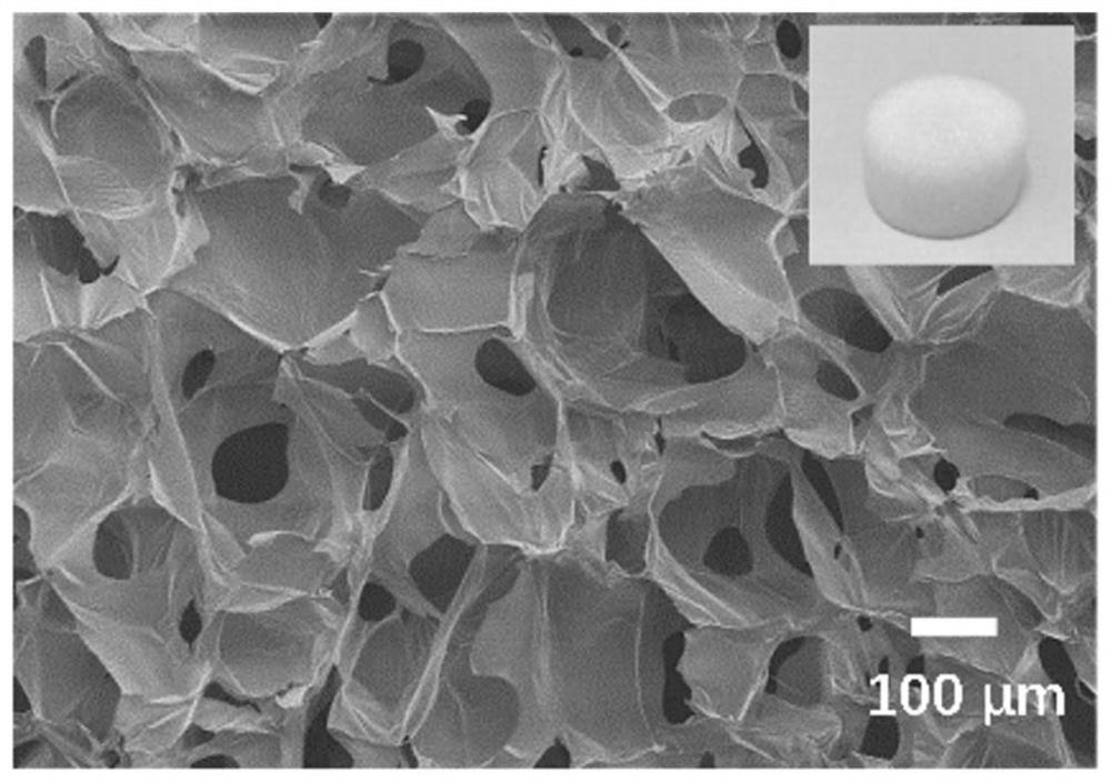 An electrode system for electrochemical detection and its application