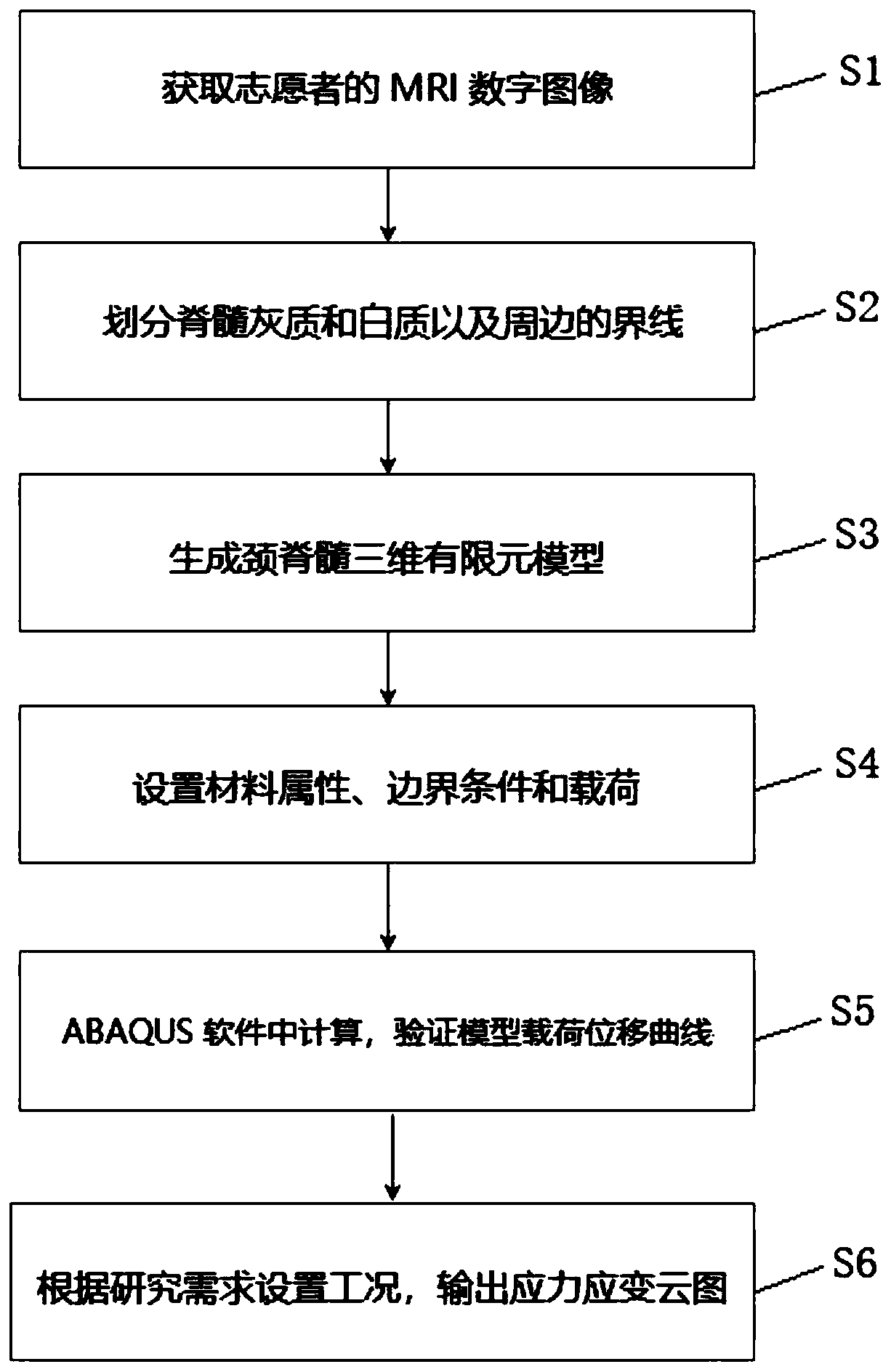 Method and device for establishing cervical spinal cord simulation model