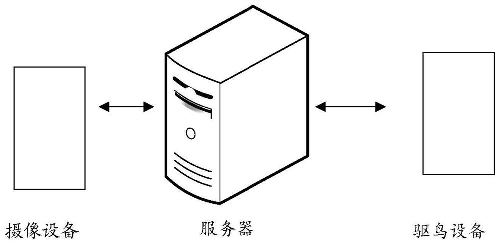 Bird condition detection method and device, computer equipment and storage medium