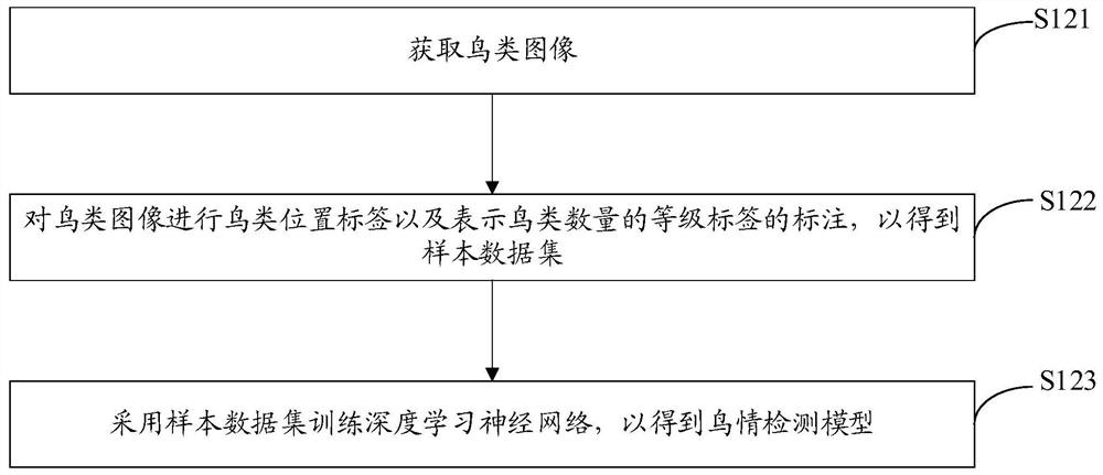 Bird condition detection method and device, computer equipment and storage medium
