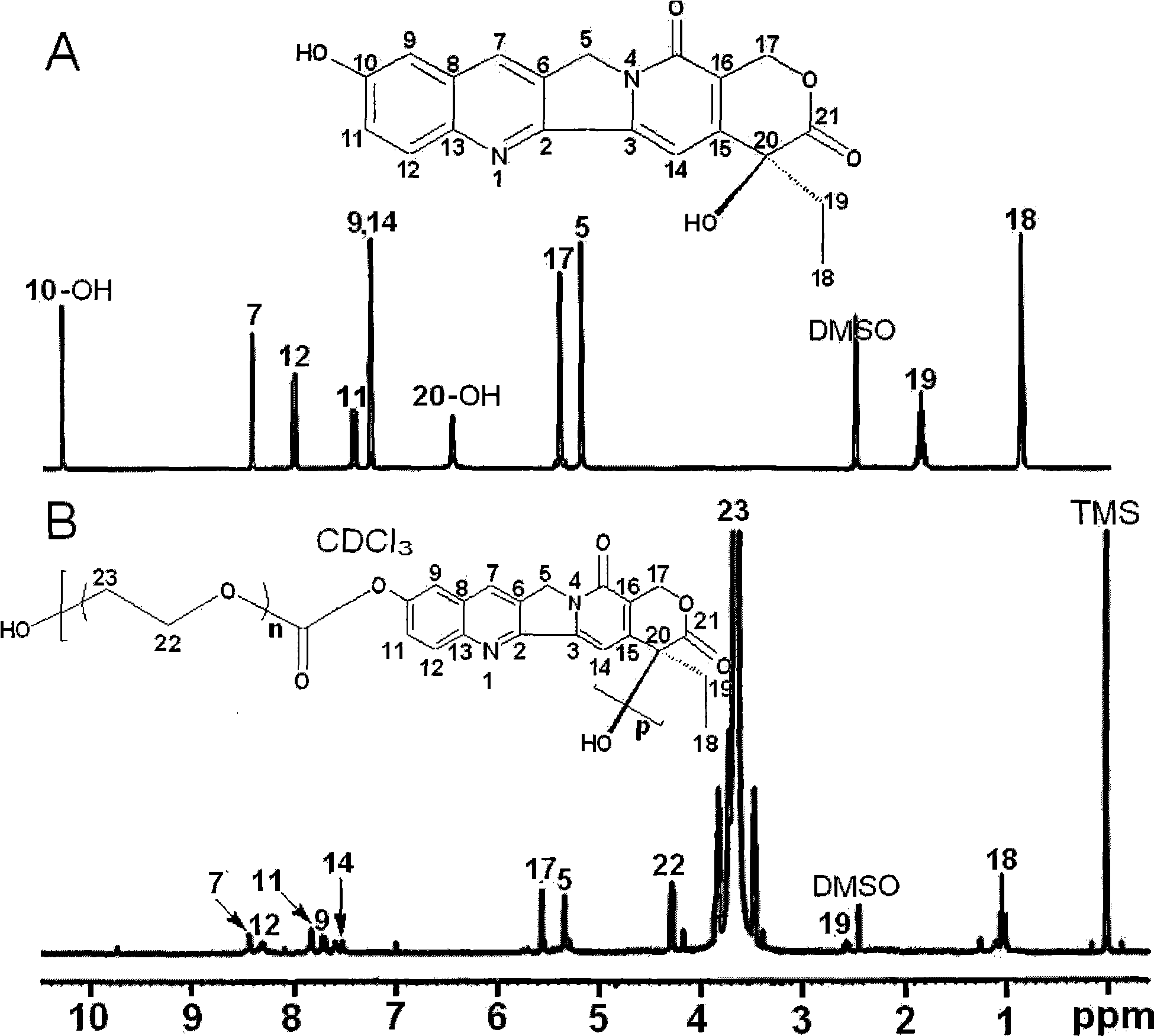 Method for preparing water soluble pegylation hydroxycamptothecine derivatives