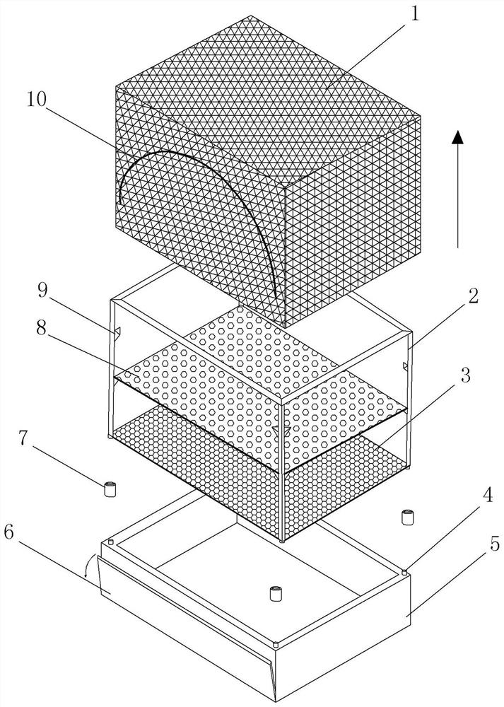 Mythimna lorgi group feeding device and method