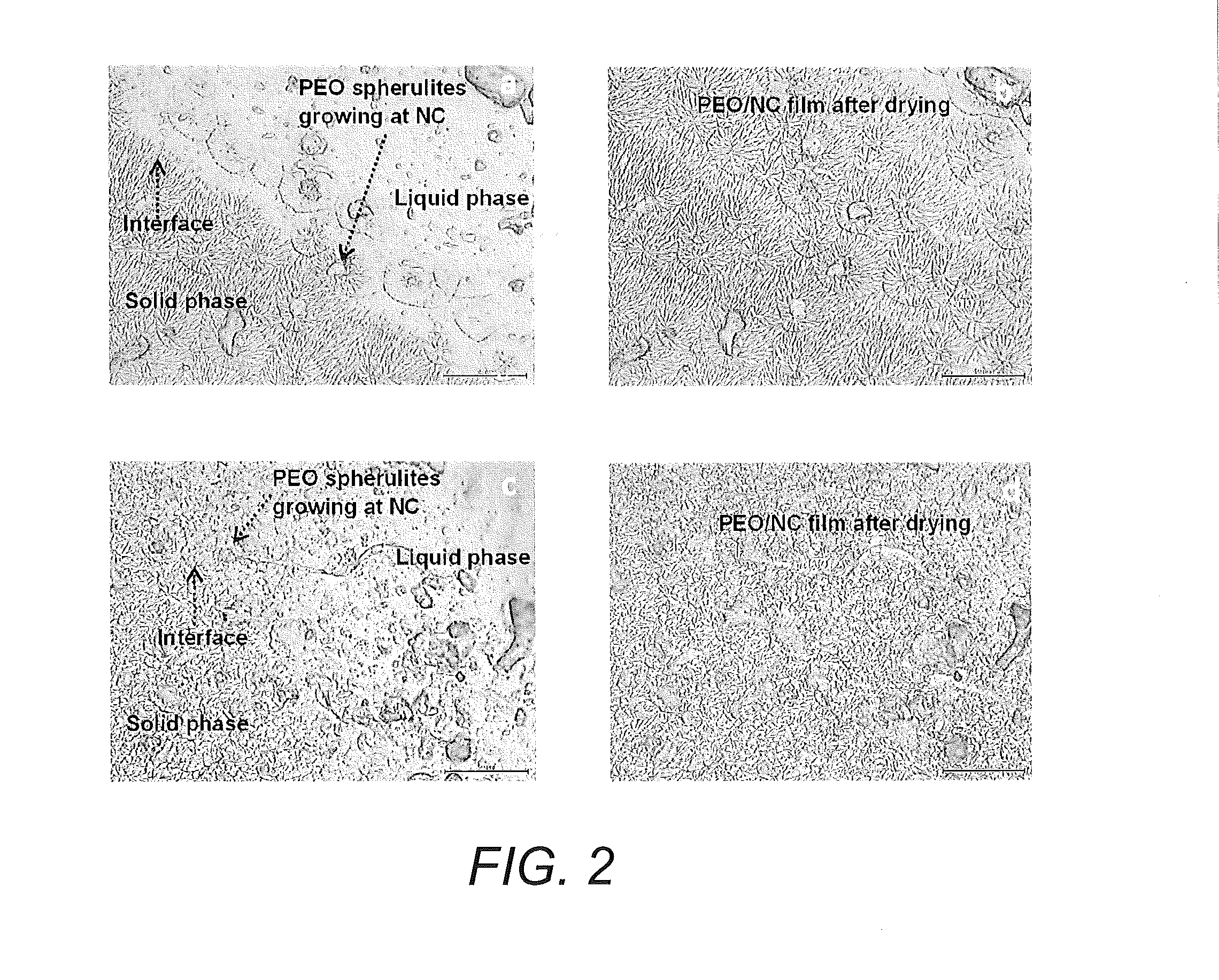 Fabrication of cellulose polymer composites and their application as solid electrolytes