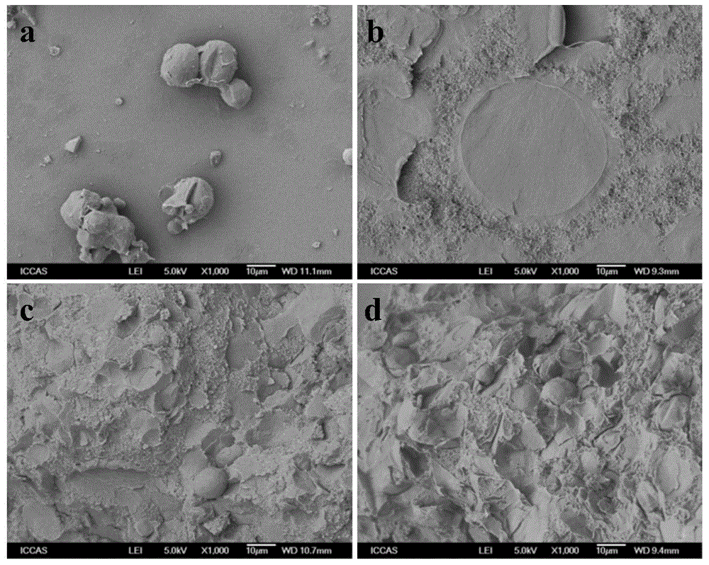 Compound bone cement with function of reducing thermal necrosis effect