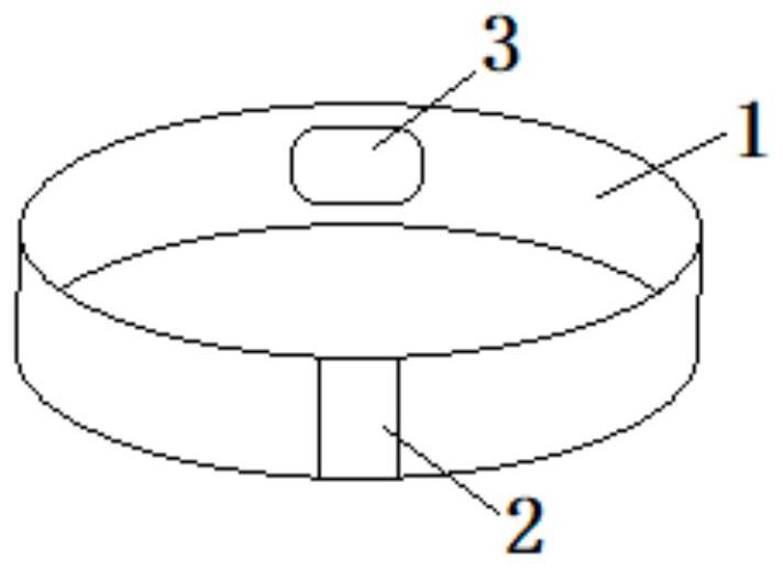 Infant anti-lost system